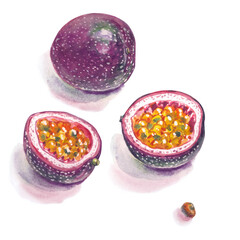 Passion fruit, watercolor illustration on a white background, isolated, fruit design elements for packages, labels, menus, etc.