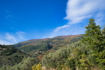 Landscape with yellow and brown autumn colors and mountains with nice sky. Mount Pelion, Milies, Greece