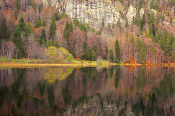 Herbst am Feldsee