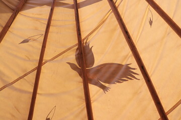 bird painted on a teepee © Tad