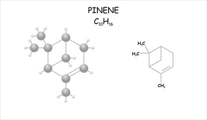 Stylized molecule model/structural formula of pinene.