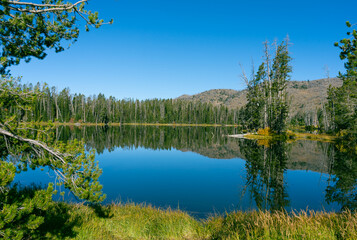 Sylvan Lake in Yellowstone National Park, Wyoming, USA, with water  reflections and green trees