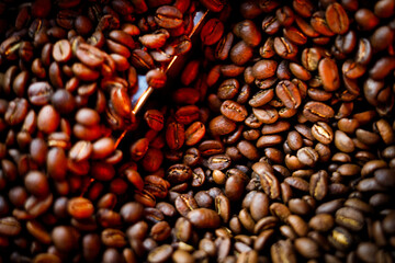 Coffee beans in a coffee machine, in dark colors.