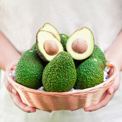 Ripe hass avocado fruit in hand ready to eating, Healthy fruit