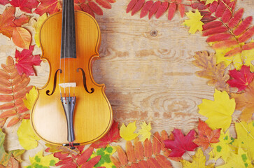 Violin and bow on a wooden textured background framed by autumn leaves.