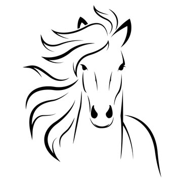Image of an horse design isolated on transparent background. Wild Animals.