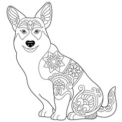 Cute Pembroke Welsh corgi dog. Adult coloring book page in mandala style.