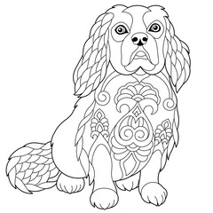 Cute spaniel dog. Adult coloring book page in mandala style.