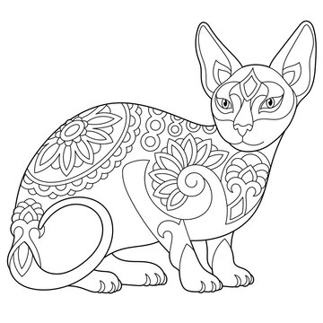 Cute sphynx cat. Adult coloring book page in mandala style.