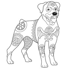 Cute rottweiler dog. Adult coloring book page in mandala style.