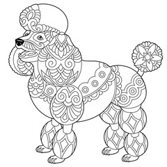 Cute happy poodle dog. Adult coloring book page in mandala style.