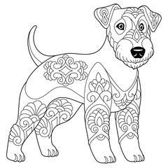 Cute lakeland terrier dog. Adult coloring book page in mandala style.
