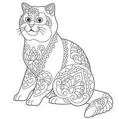 Cute British shorthair cat. Adult coloring book page in mandala style.