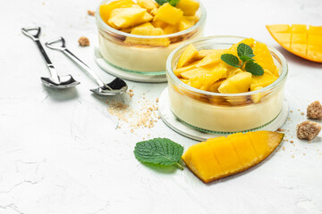 panna cotta with pieces of fresh mango on a light background. banner, menu, recipe place for text,...