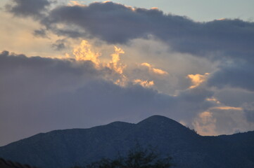 Dark skies above the Joshua Tree National Park