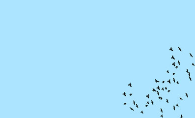 Black birds on a blue background. Banner, illustration.