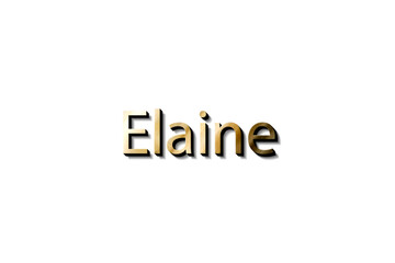 ELAINE 3D MOCKUP