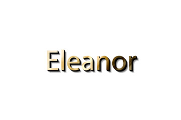ELEANOR 3D MOCKUP
