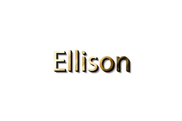 ELLISON 3D MOCKUP