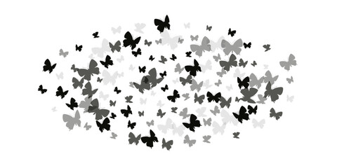 Fairy black butterflies isolated vector wallpaper. Summer pretty insects. Fancy butterflies isolated fantasy illustration. Delicate wings moths graphic design. Tropical creatures.