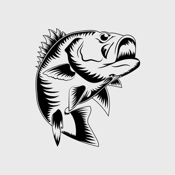 Jumping bass fish vector illustration