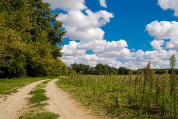 Landscape of field near Tisza in Autumn