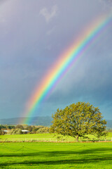 A rainbow over fields near the Cotswold village of Laverton, Gloucestershire, England UK © Stephen
