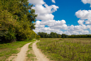 Landscape of field near Tisza in Autumn