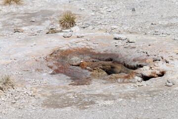 gurgling geyser