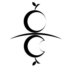 Black apple isolated on white background