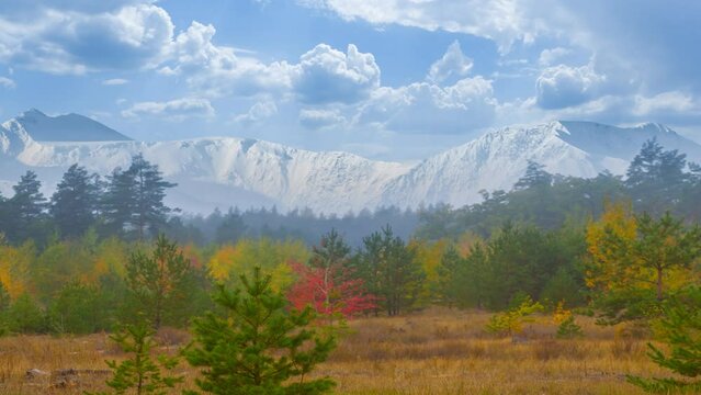 red autumn forest in misty mountain valley time lapse scene