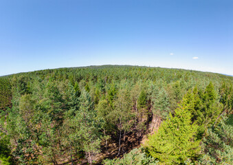 Fototapeta na wymiar Aerial view of forest