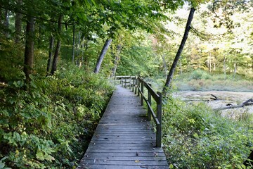 Fototapeta na wymiar The empty boardwalk bridge in the forest.