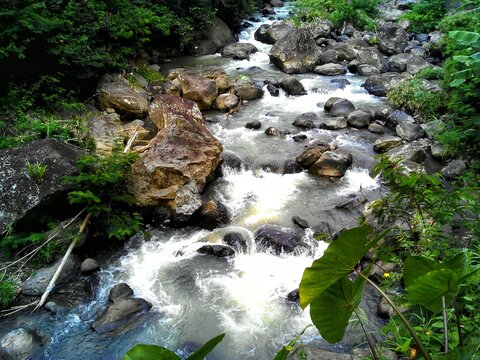 The view of the river is so beautiful, filled with rocks and surrounded by plans 