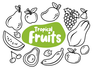 set of fruits doodle