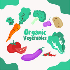 set of vegetables flat illustration