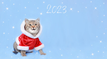 Surprised Cat with open mouth. Funny Santa Claus. New Year greeting card. Kitten Santa Claus on the blue background. Merry Christmas. Web banner.  Copy space. Kitten looks at the inscription 2023