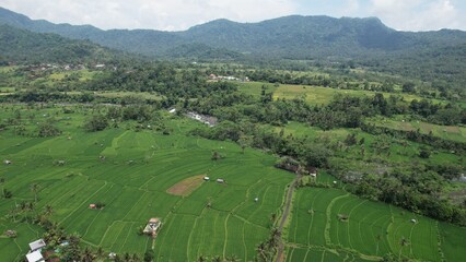 Bali, Indonesia - November 13, 2022: The Bali Terrace Rice Fields