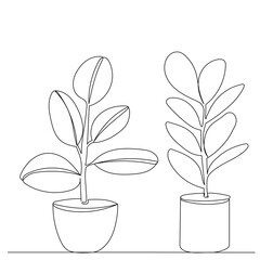 flowers in pots continuous line drawing, vector, sketch