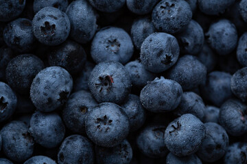 Food background blueberry top view berry summer