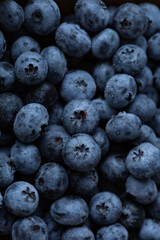 Food background blueberry close up summer
