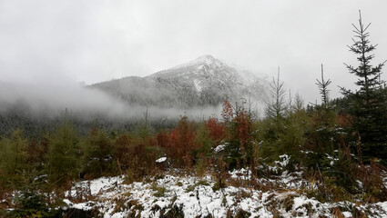 fog in the Tatra mountains