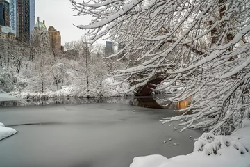 Photo sur Plexiglas Pont de Gapstow Gapstow Bridge in Central Park after snow