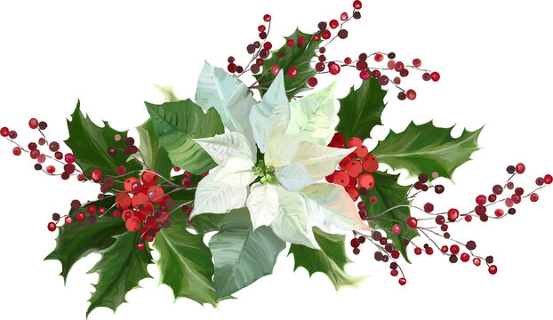 Christmas floral composition with a white poinsettia