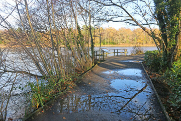 Reflections in Stover country park, Devon, in Autumn	