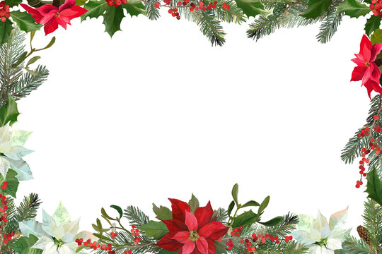Horizontal Christmas frame with poinsettia flowers