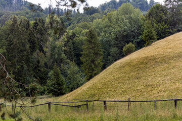 Polskie góry Pieniny wraz z płynącym w dole Dunajcem. Wszystko do okoła miasta Szczawnica.