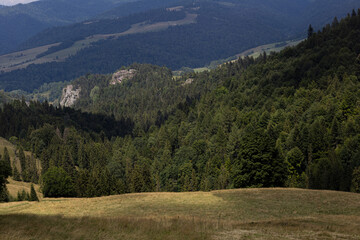 Polskie góry Pieniny wraz z płynącym w dole Dunajcem. Wszystko do okoła miasta Szczawnica.