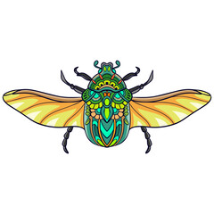 Colorful Beetle mandala arts isolated on white background