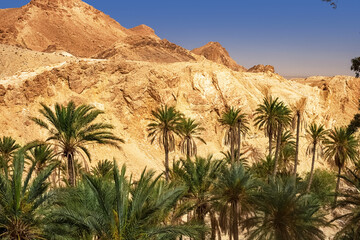 Fototapeta na wymiar View of the mountain oasis of Shebika, in the middle of the Sahara Desert, Tunisia